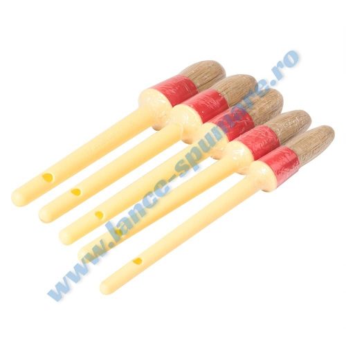 Set 5 pensule detailing auto din par natural